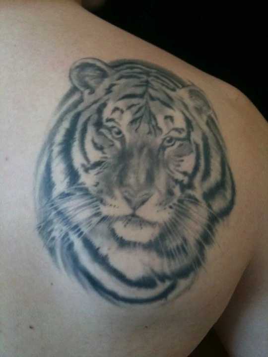 Chrys_Goldberg-Tiger_Tattoo