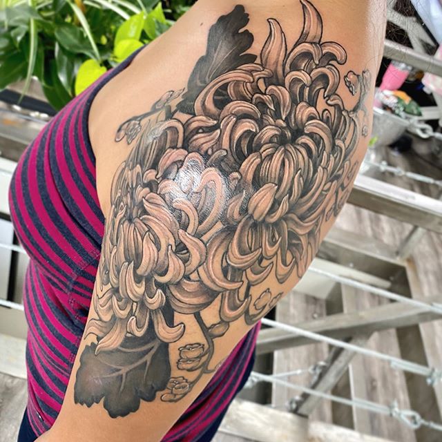 Emily_Clare-Chrysanthemum-Tattoo