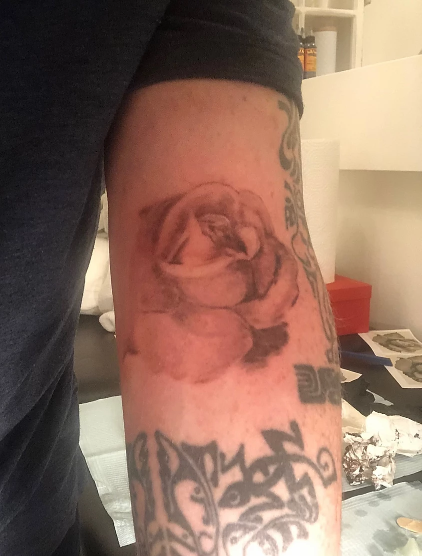 Greg_Linton-Ditch_Rose_Tattoo