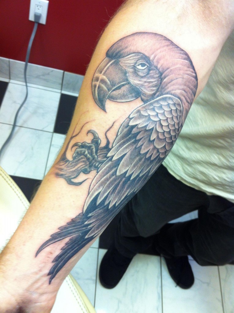 Kyle_Kirkland-Bird-Tattoo