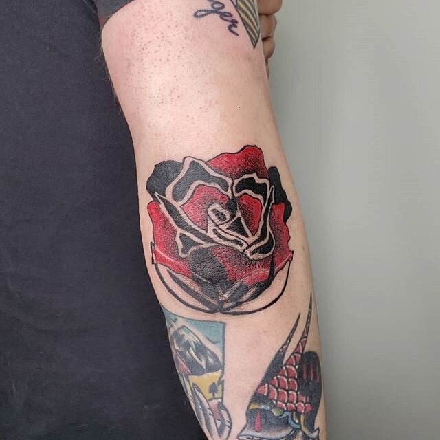 Morrison_Cole-Williamson-Trad_Rose_Tattoo