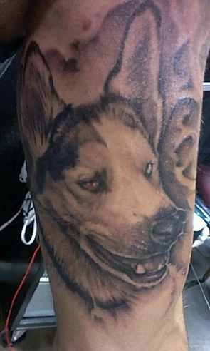 Sarah_Wilson-Dog_Tattoo