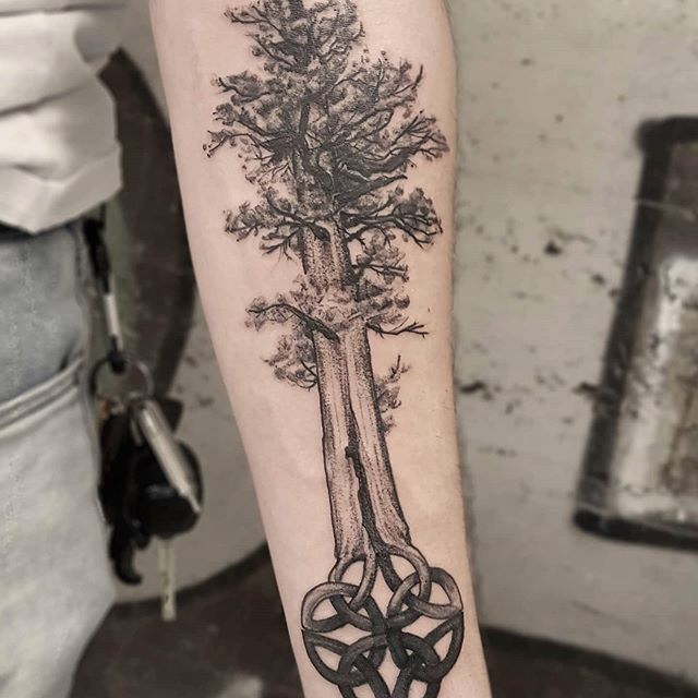 Chris_Spence-Redwood-Tattoo