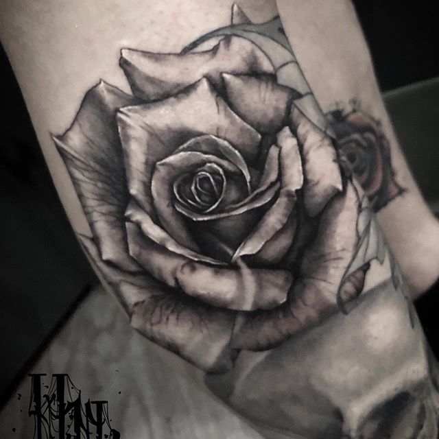 Hanna_Malcolm-Rose-Tattoo