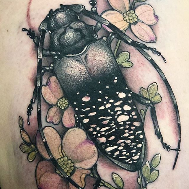 Sydney_Dyer-Beetle-Tattoo