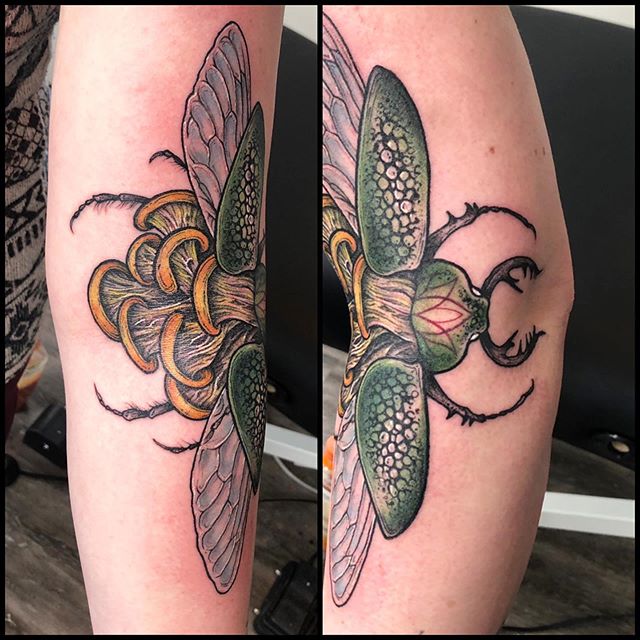 Whitney_Thompson-Beetle-Tattoo